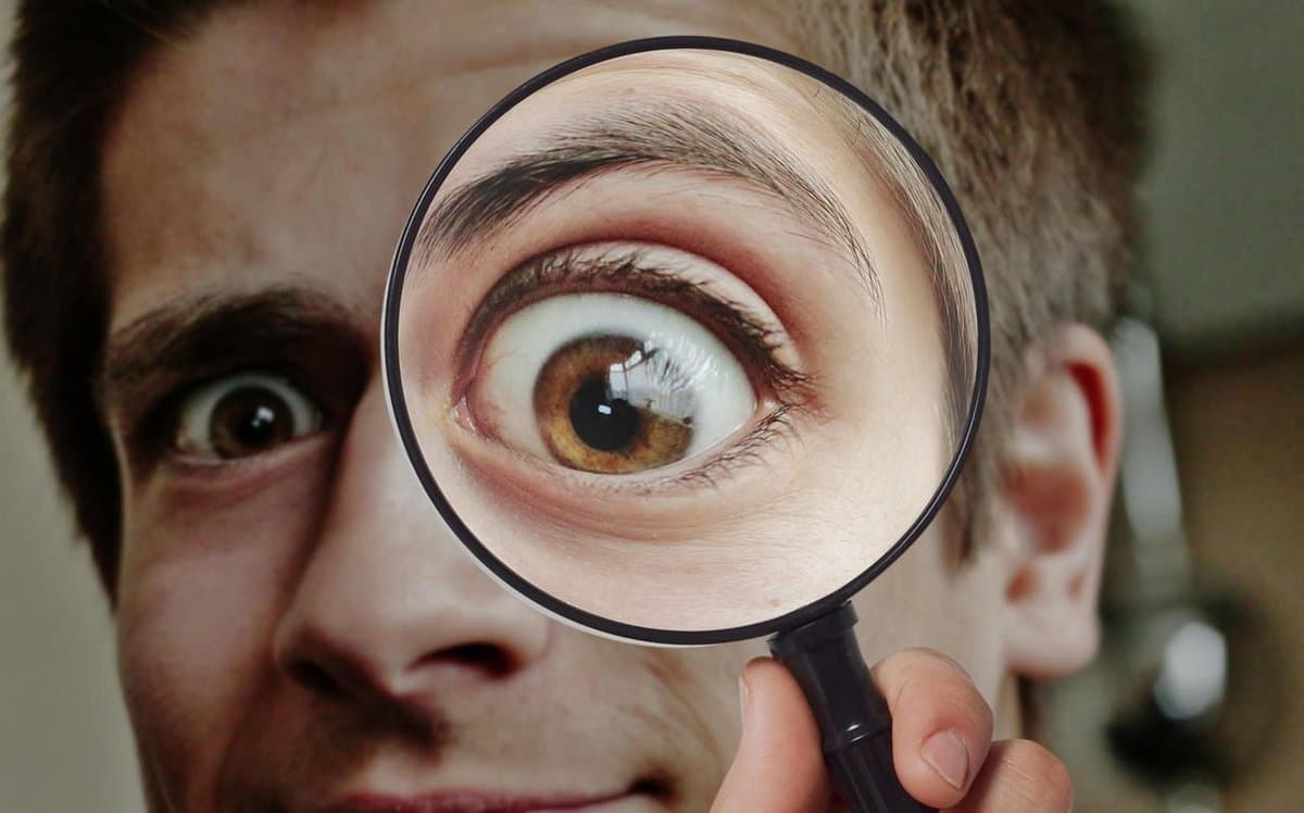 Insight Is Evidence, Not a Decision Shortcut
