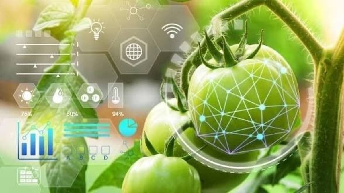 Top 10 Agri-Food Innovation Trends Shaping 2026