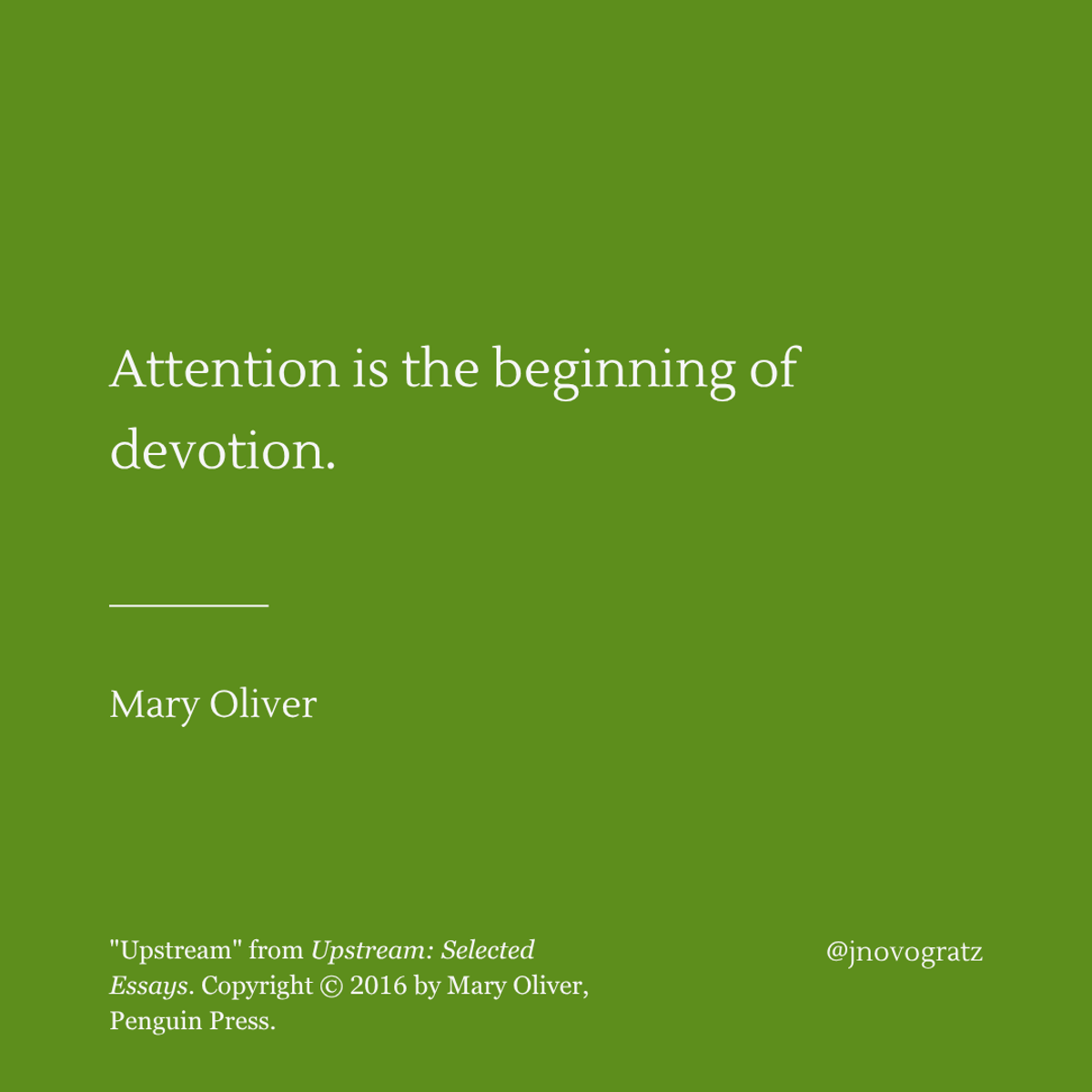 Active Attention Sparks Love, Connection, and Service