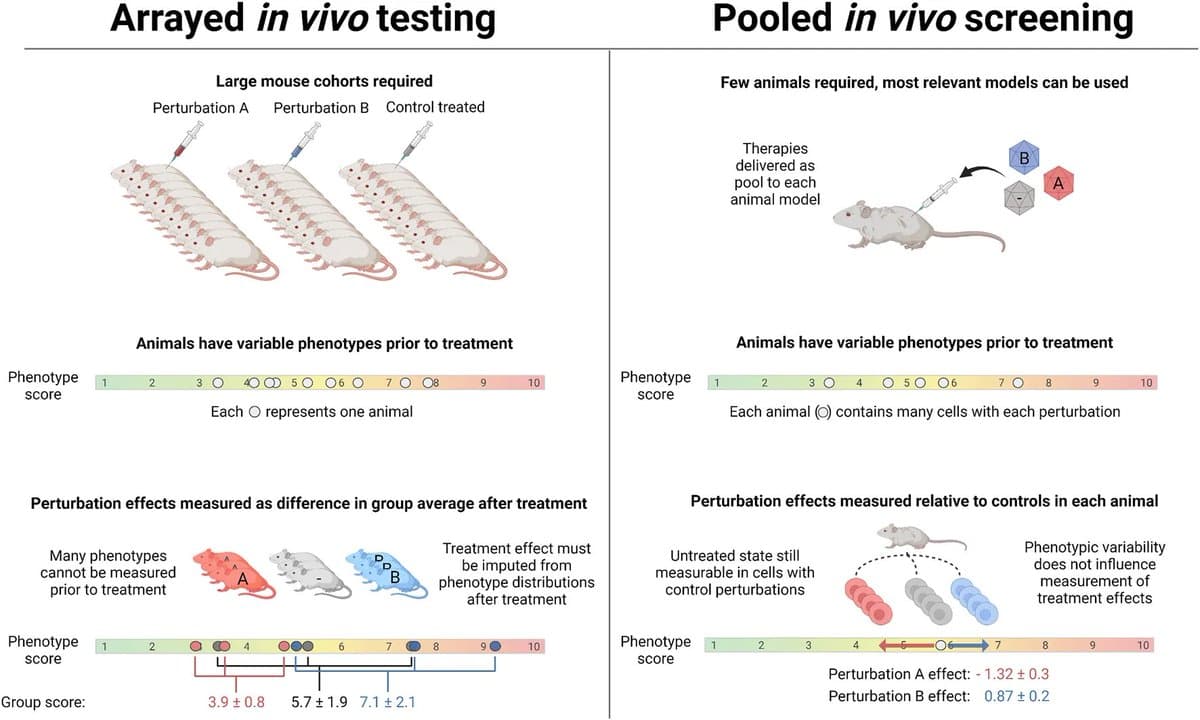 New Method Dramatically Cuts Inter‑animal Variability