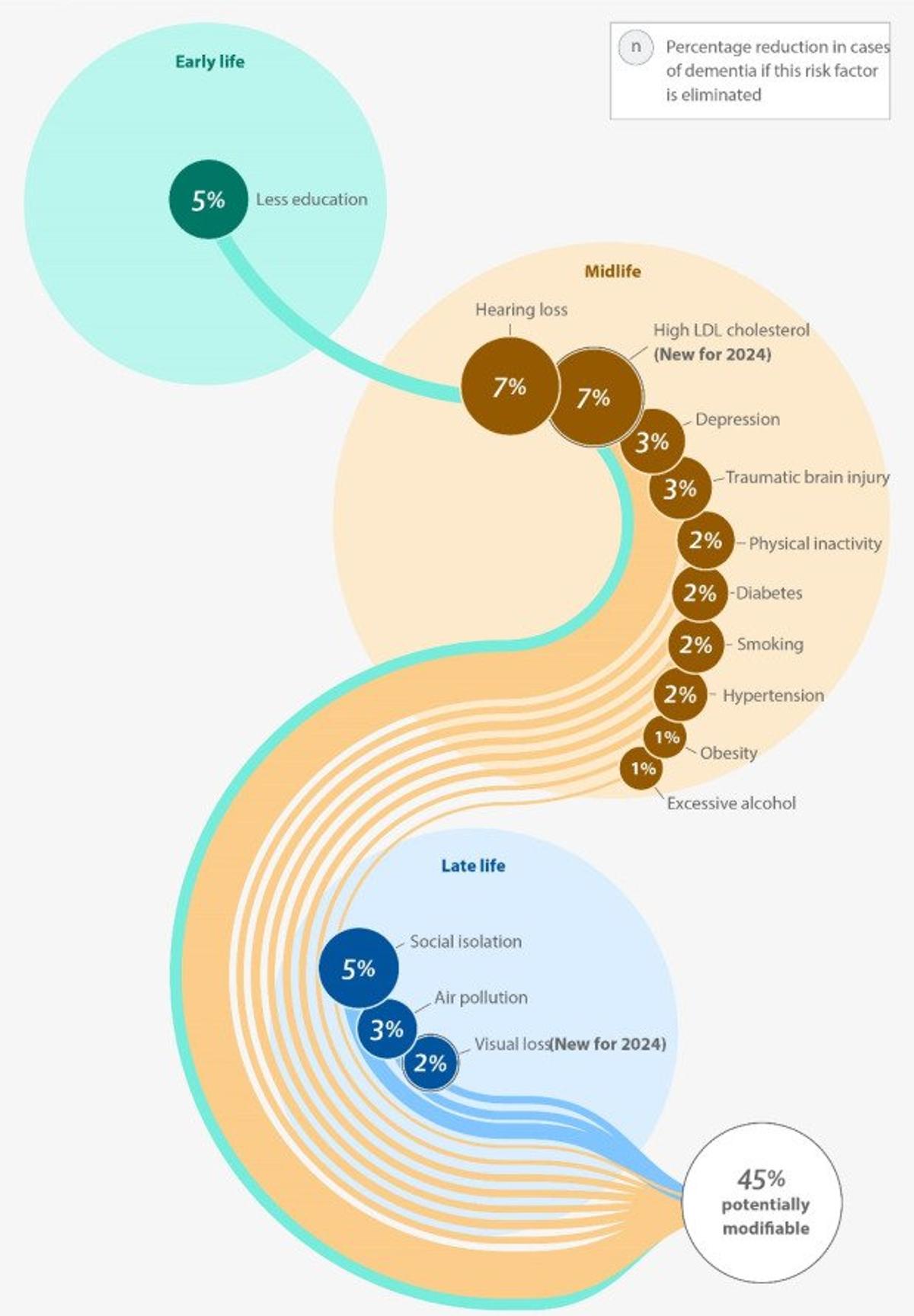 Male‑dominant Dementia Risks Highlighted in 2024 Lancet Report
