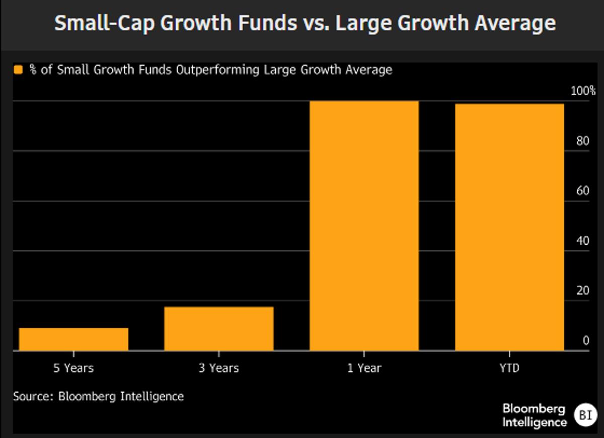 Small‑cap Growth Outperforms Large‑cap, yet Remains Ignored