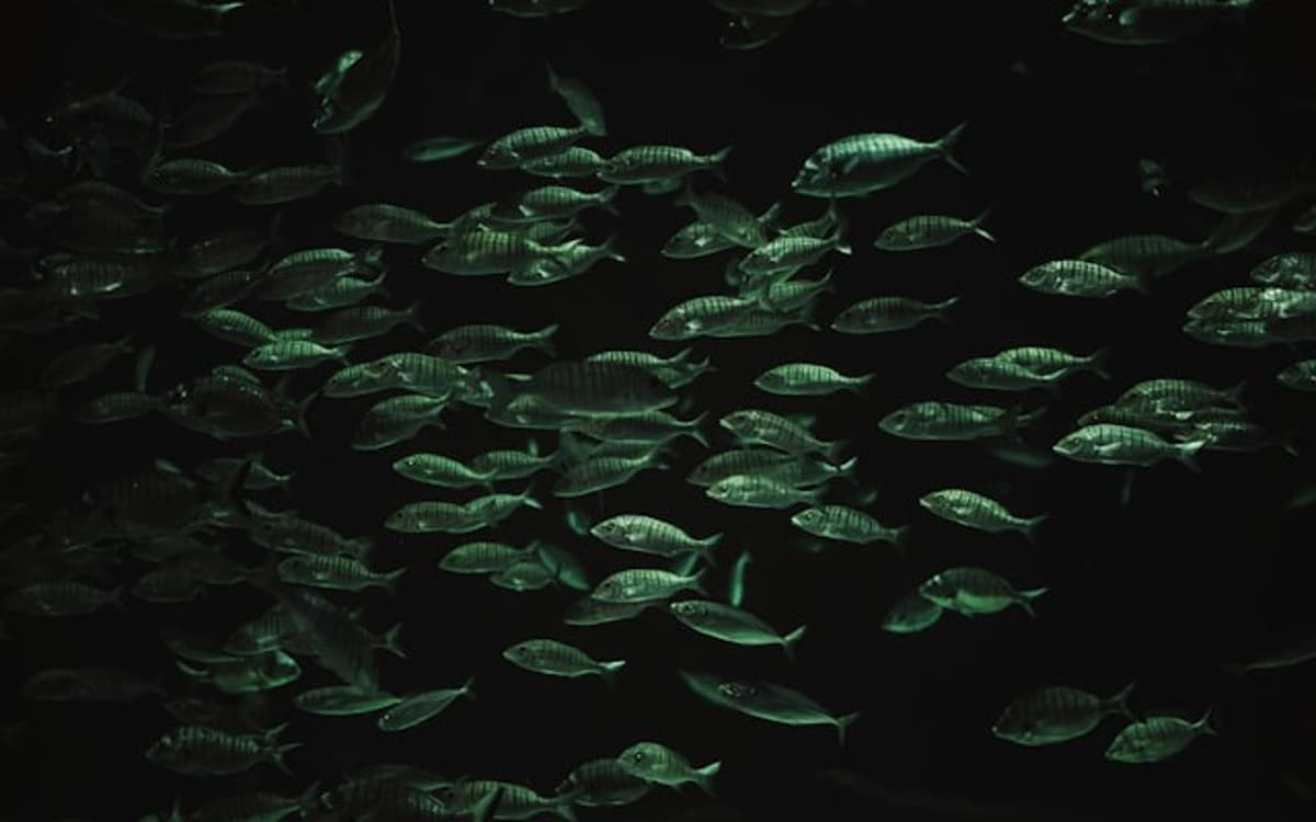 Uncovering a Silent Docker Swarm Scheduler Bug