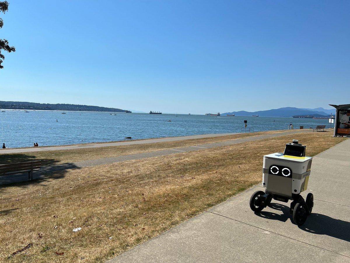 Vote for Delivery Robots: Boost Local Business, Cut Congestion