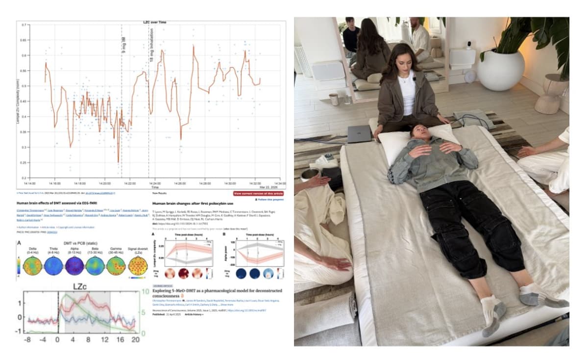 5-MeO-DMT Boosts Brain Complexity, Rekindles Childlike Curiosity