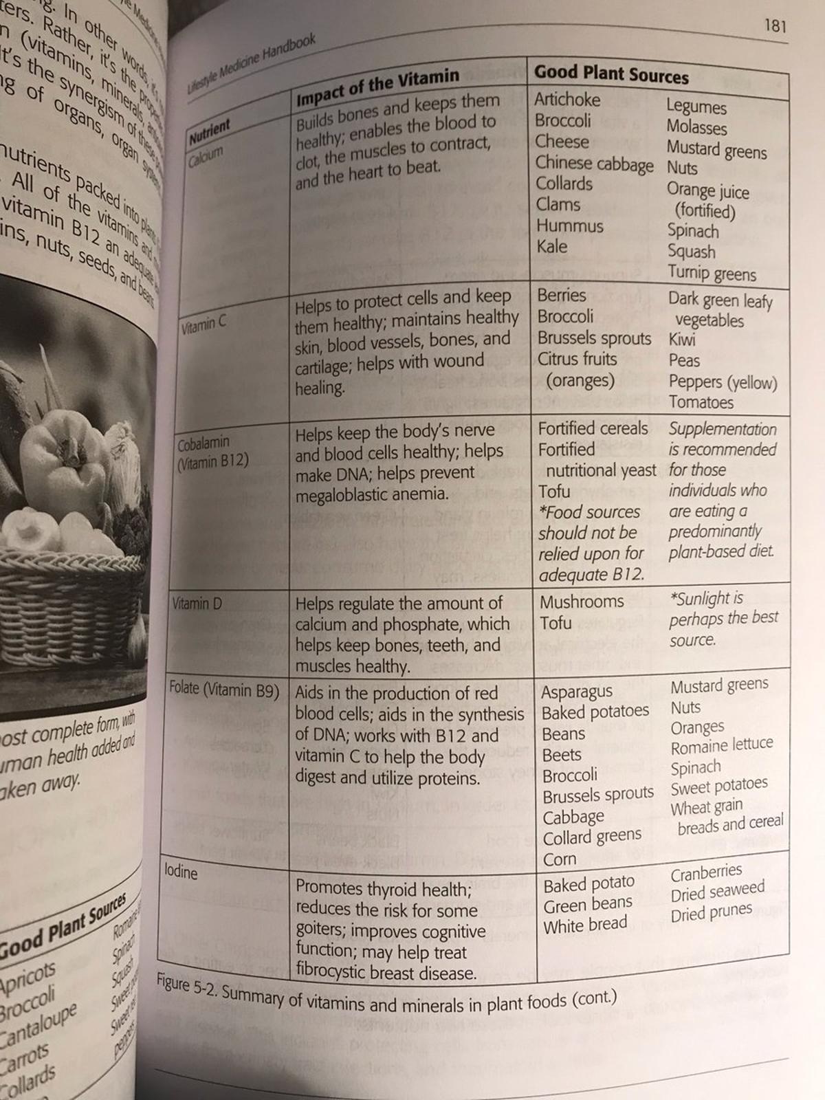 Lifestyle Medicine Handbook Offers Charts on 6 Pillars