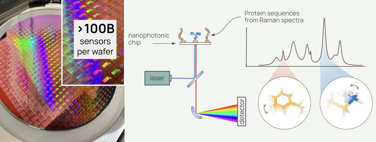 Direct Protein Reading Platform Ends Proteomics Blind Spot