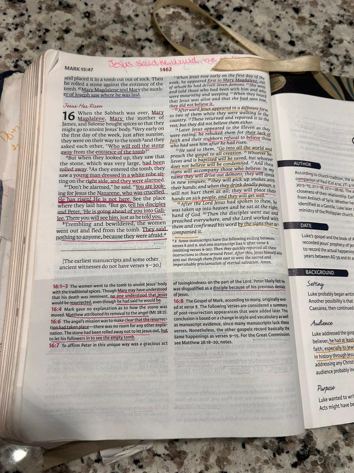 Live the Gospel: Love, Service, and Faithful Action