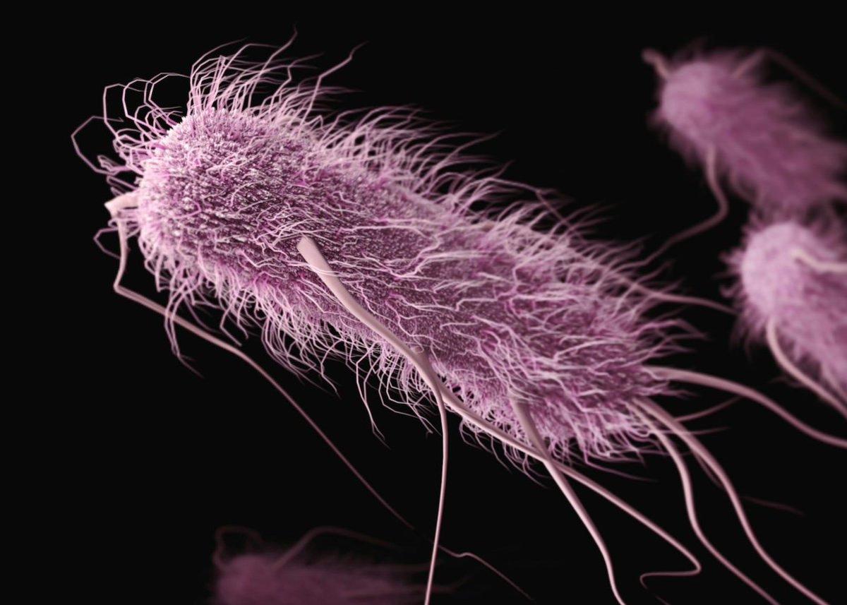 Scientists Remove Essential Amino Acid, Redefining Life's Code