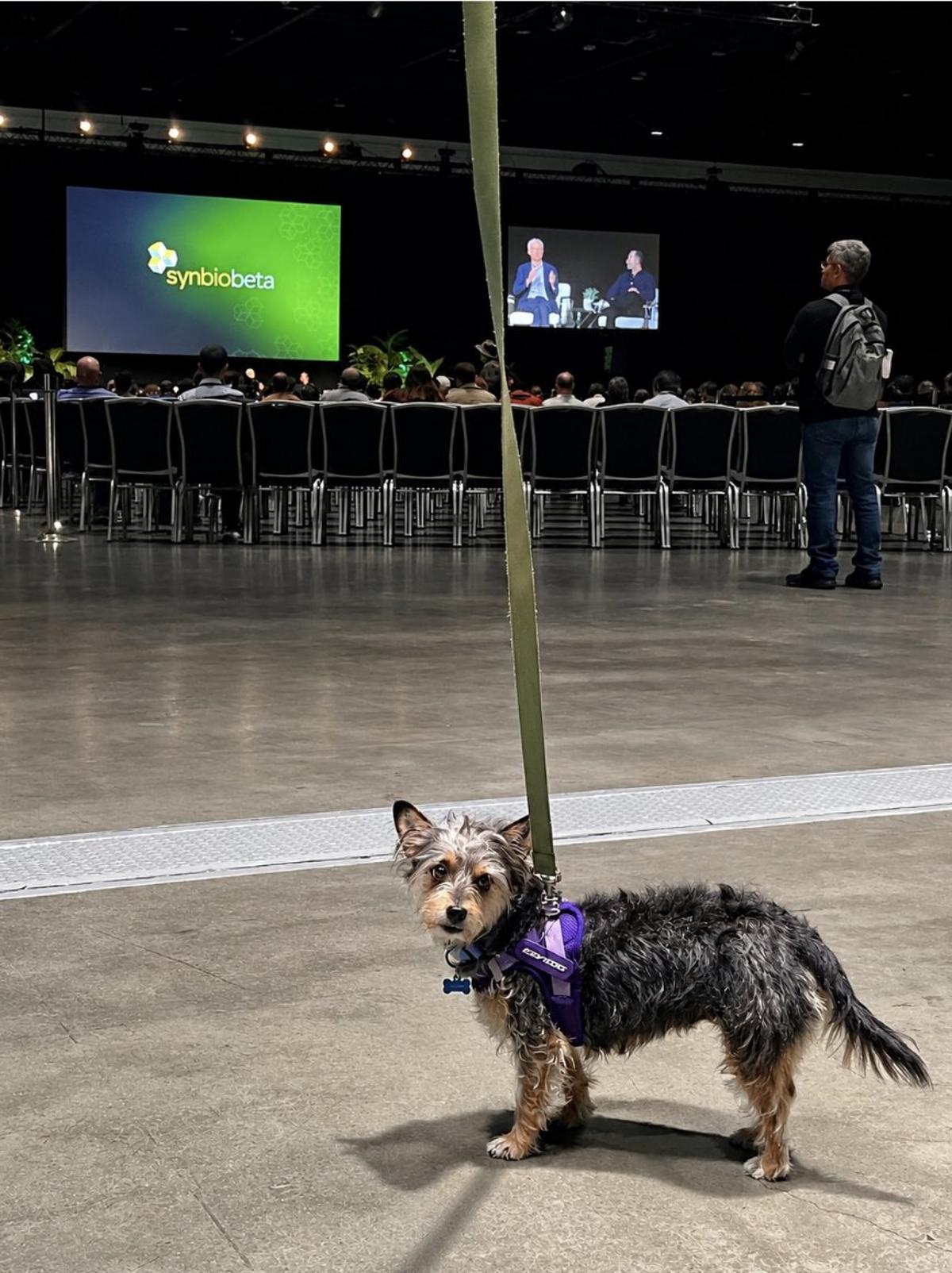 Even a Dog Loves Scaling Virtual Biology Panel