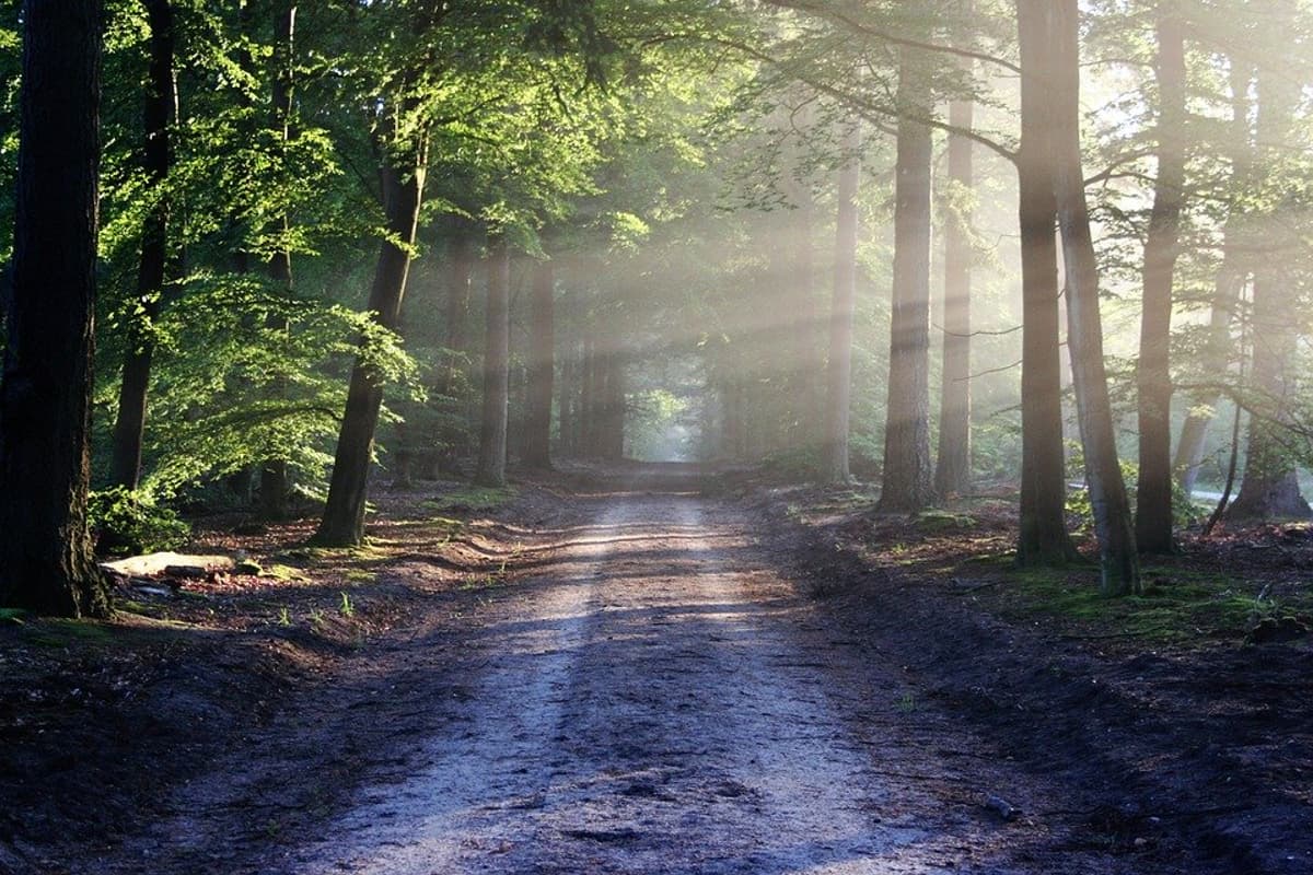 Pause, Breathe, and Show Compassion to Calm Stress