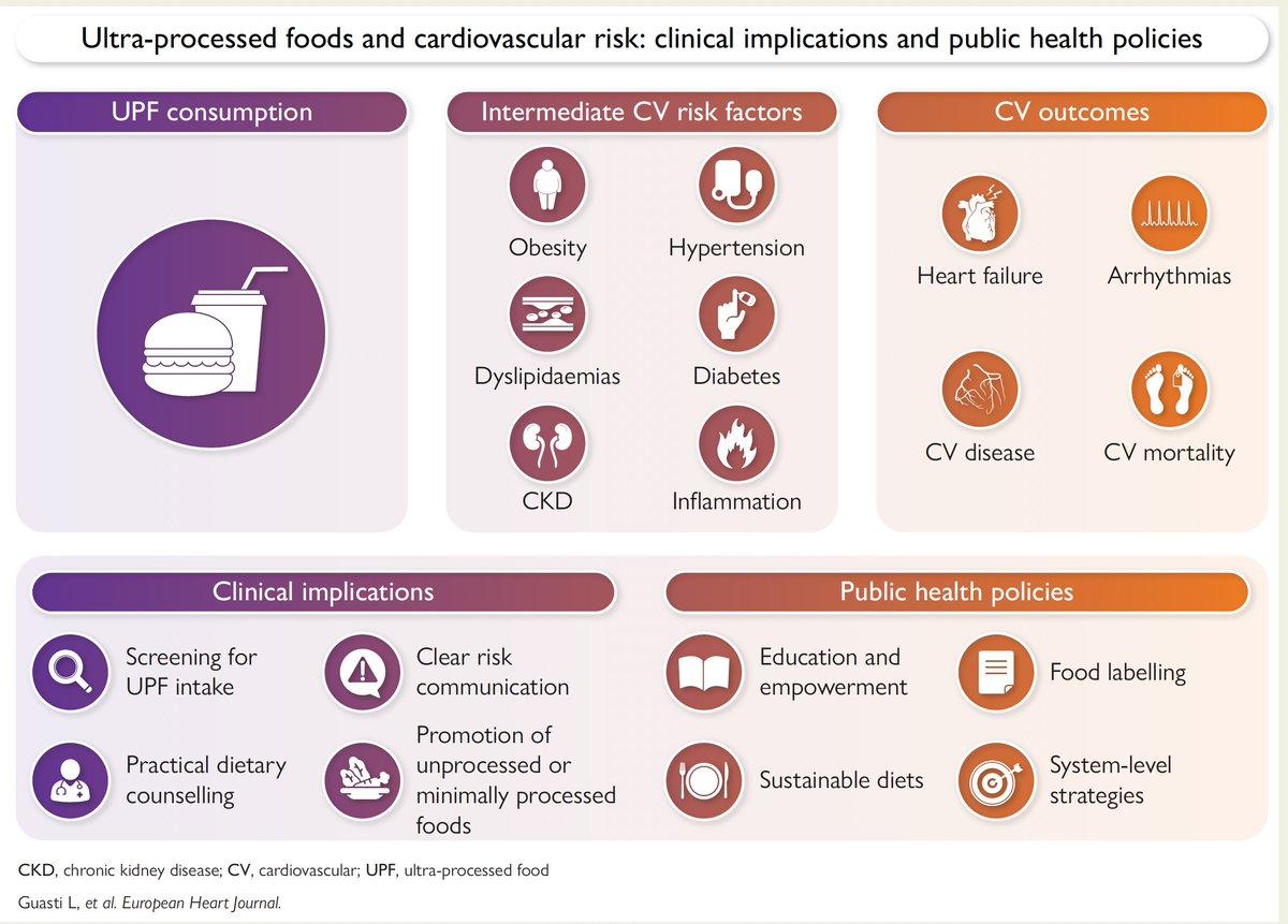 Cut Ultraprocessed Foods to Lower Heart Disease Risk