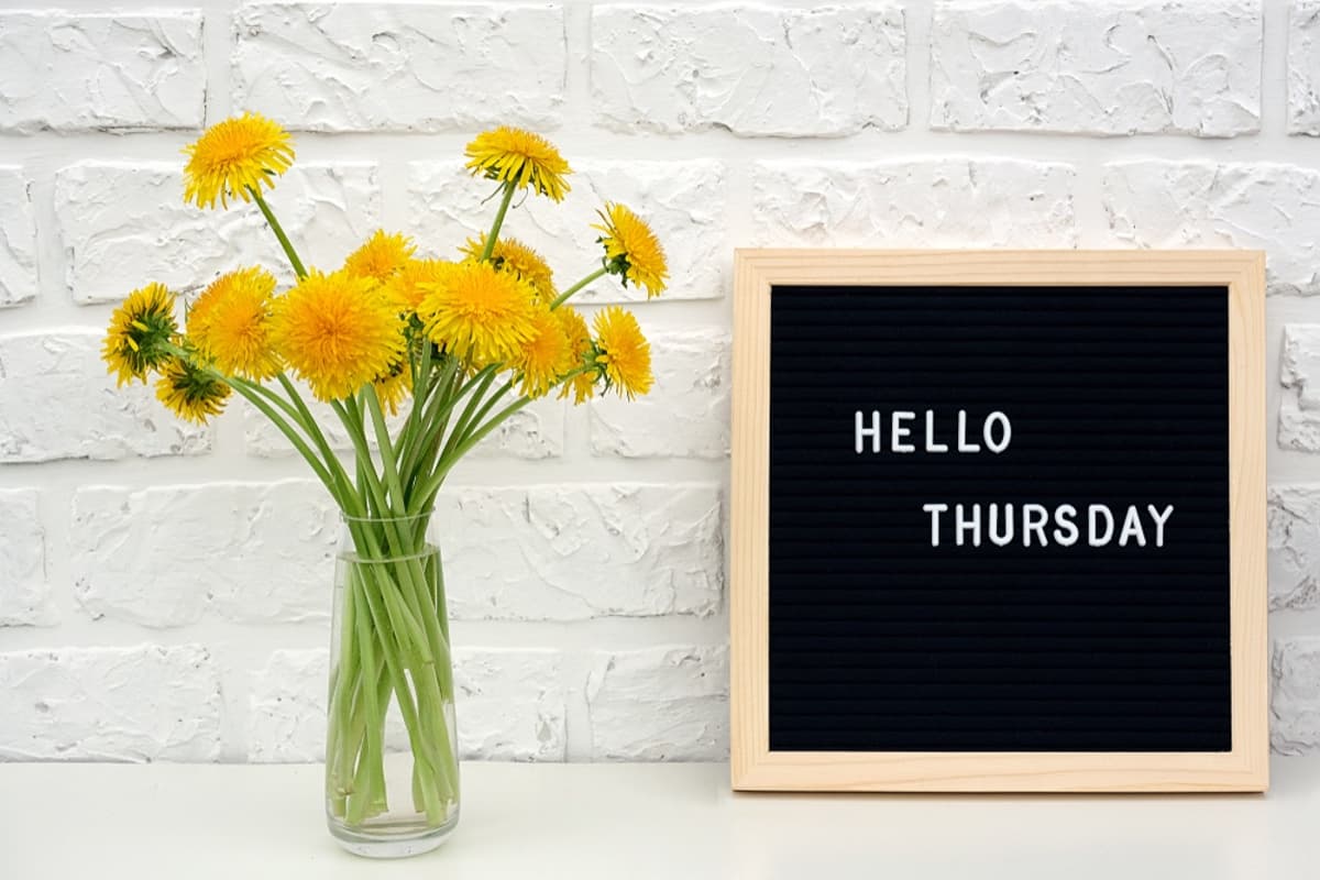 Choose Simple Joys for a Meaningful Thursday