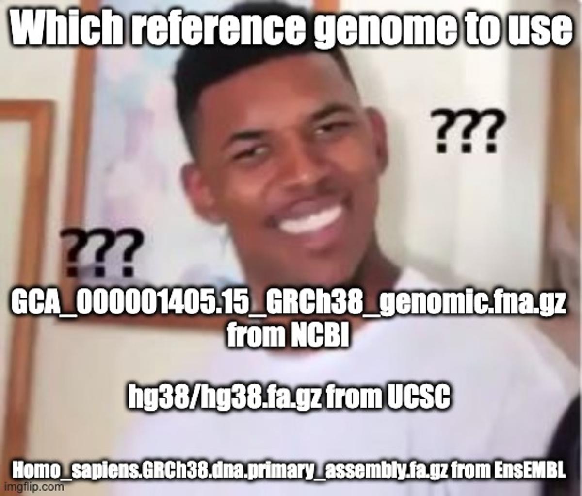 Choosing a Reference Genome Stalls Bioinformatics Before Coding