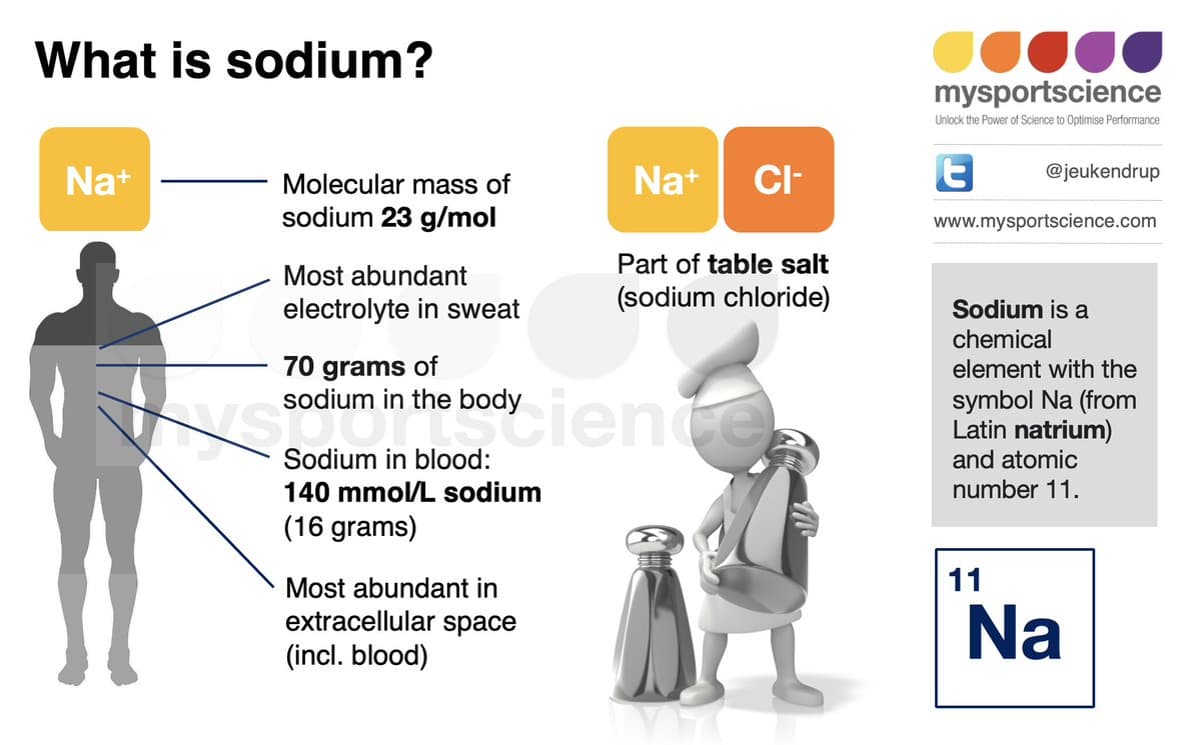 Sodium: Essential for Fluid Balance, Blood Pressure, Muscles