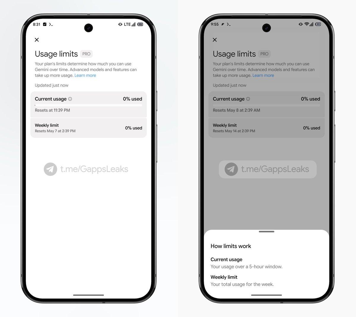 Gemini Dashboard Displays Real-Time Usage and Reset Timings