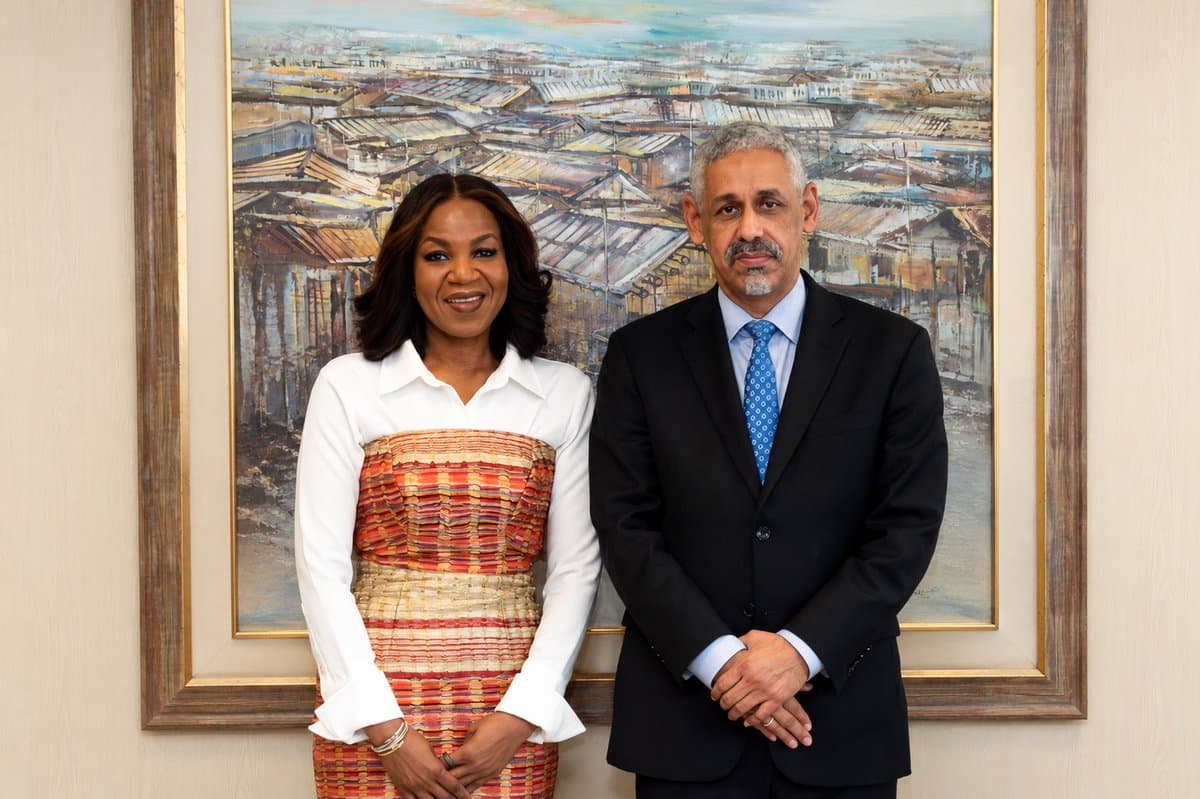 Accelerating Africa’s Energy Access Through Green Finance Partnerships