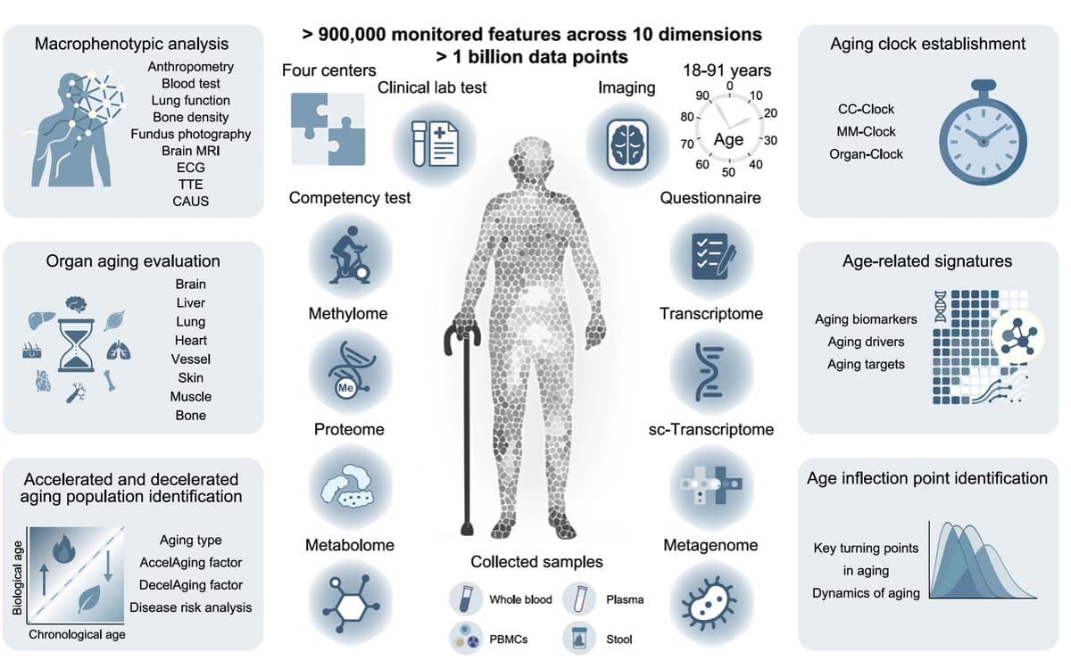 Organ‑Specific Aging Clocks Reveal Multi‑Omics Lifespan Patterns