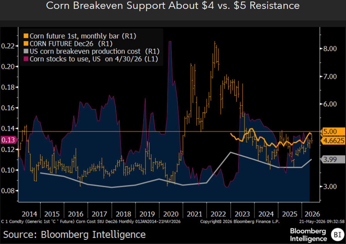 Corn Likely to Dip Toward $4 by Year‑end