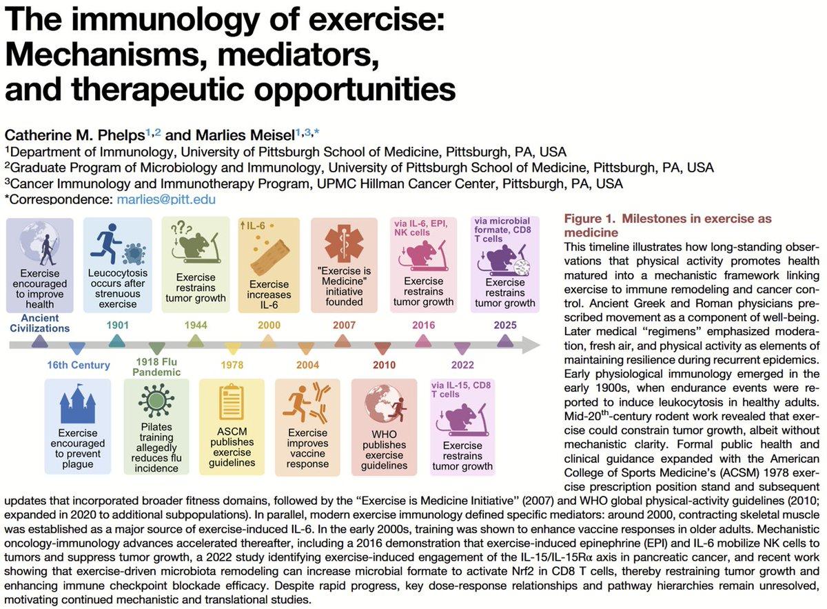 Exercise Rewires Immunity, Influencing Disease and Aging