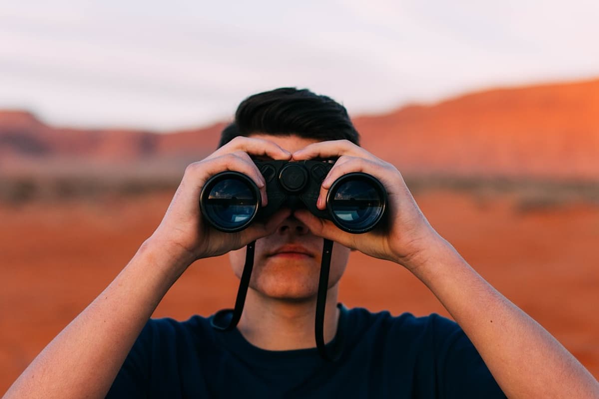 Mindfulness: Observe Emotions, Gain Awareness and Adaptability