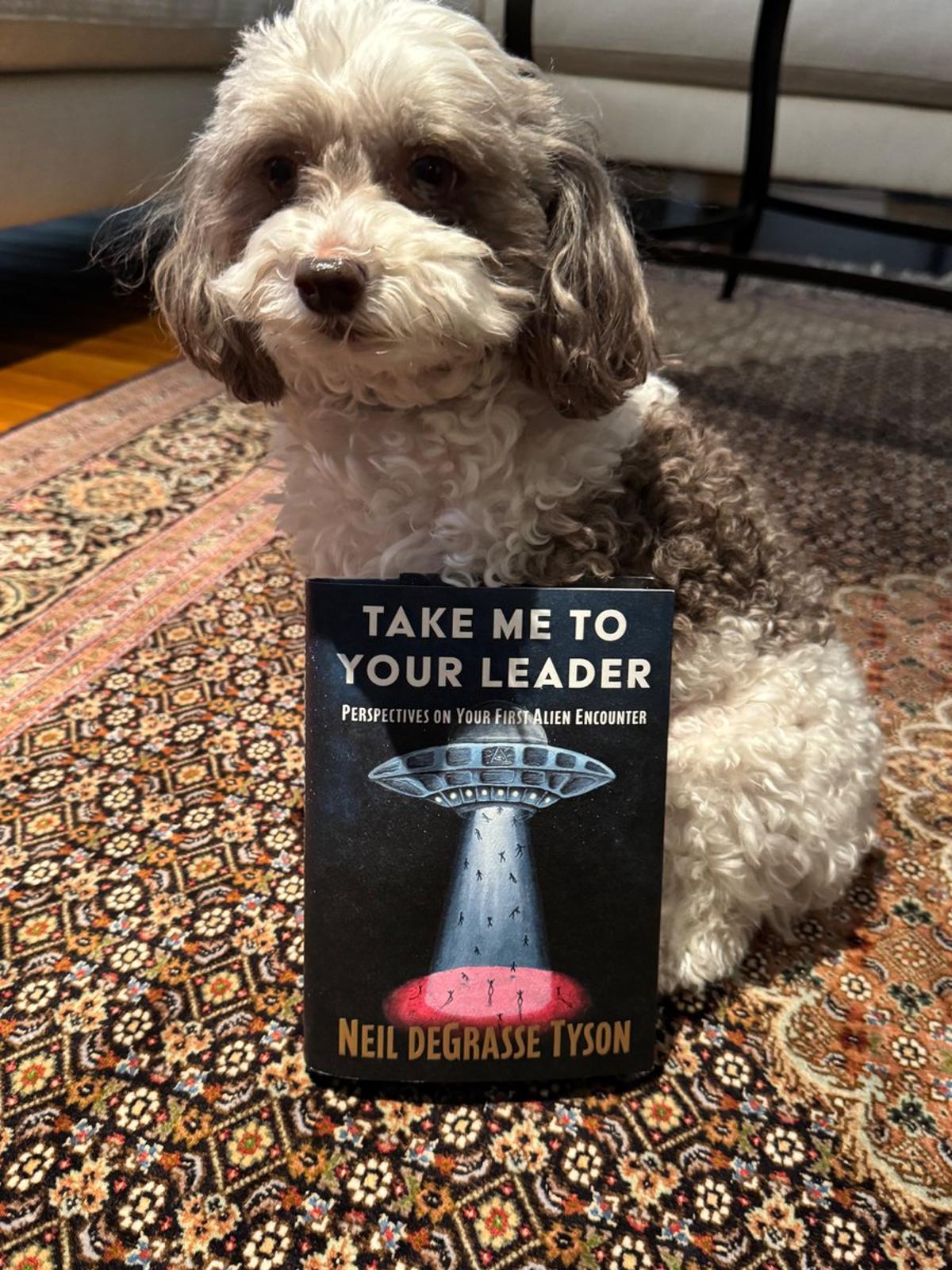 Even Educated Dogs Love Quirky Sci‑fi Humor