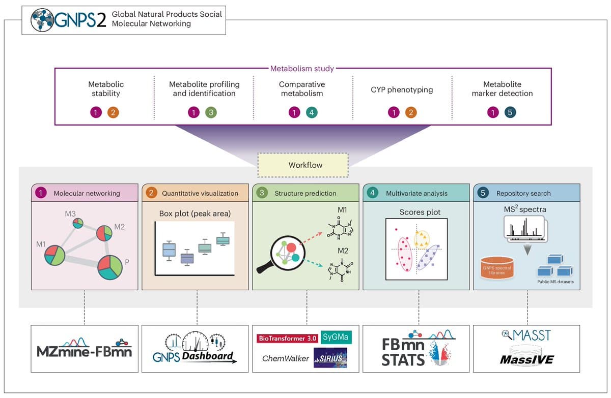 GNPS2 Enables Comprehensive Drug Metabolism Toolkit