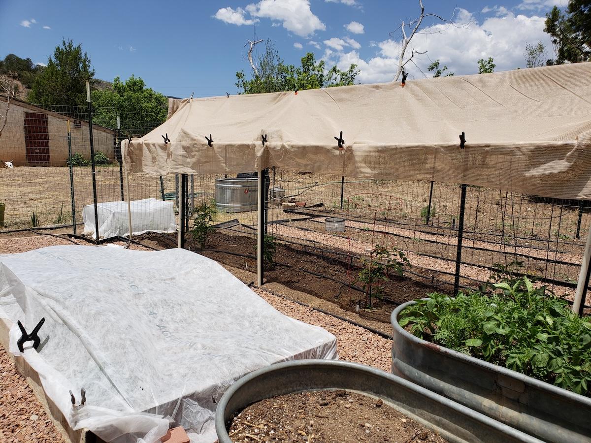 DIY Hacks to Keep Edible Plants Temperature‑Balanced