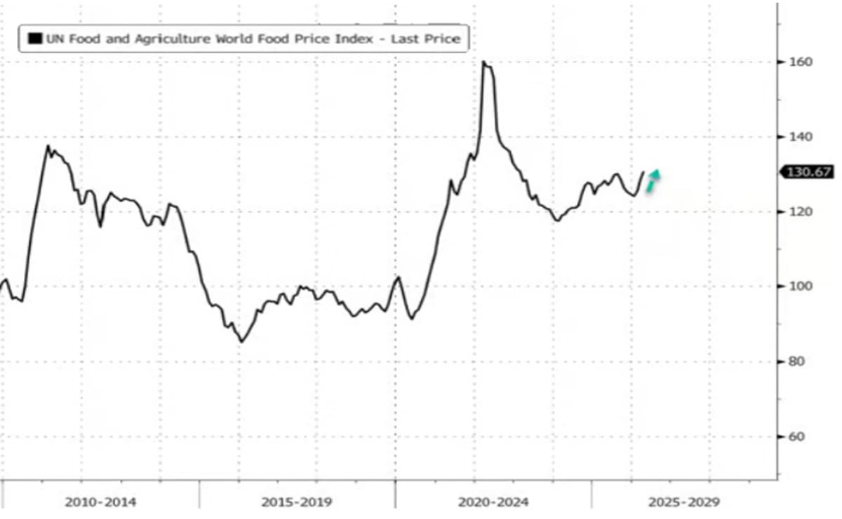 Food Prices Spike Again, Vegetable Oil Leads Surge
