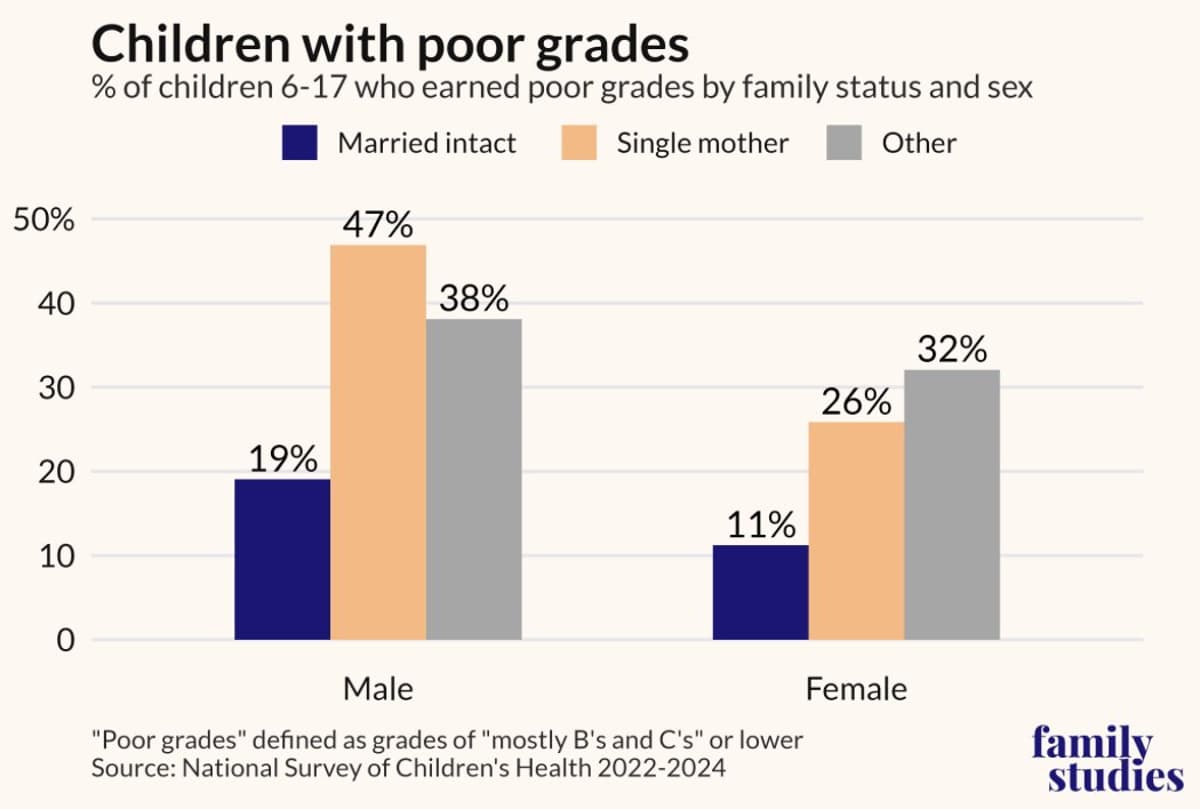 Broken Families Drive Boy Crisis: School Failure, Trouble, Depression