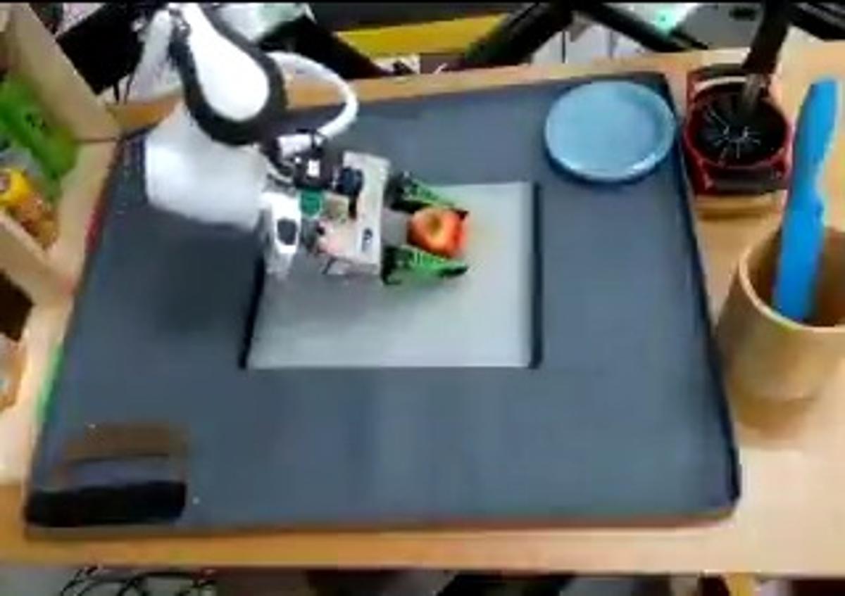 Fine‑tuned Large Behavior Models Boost Robot Task Learning