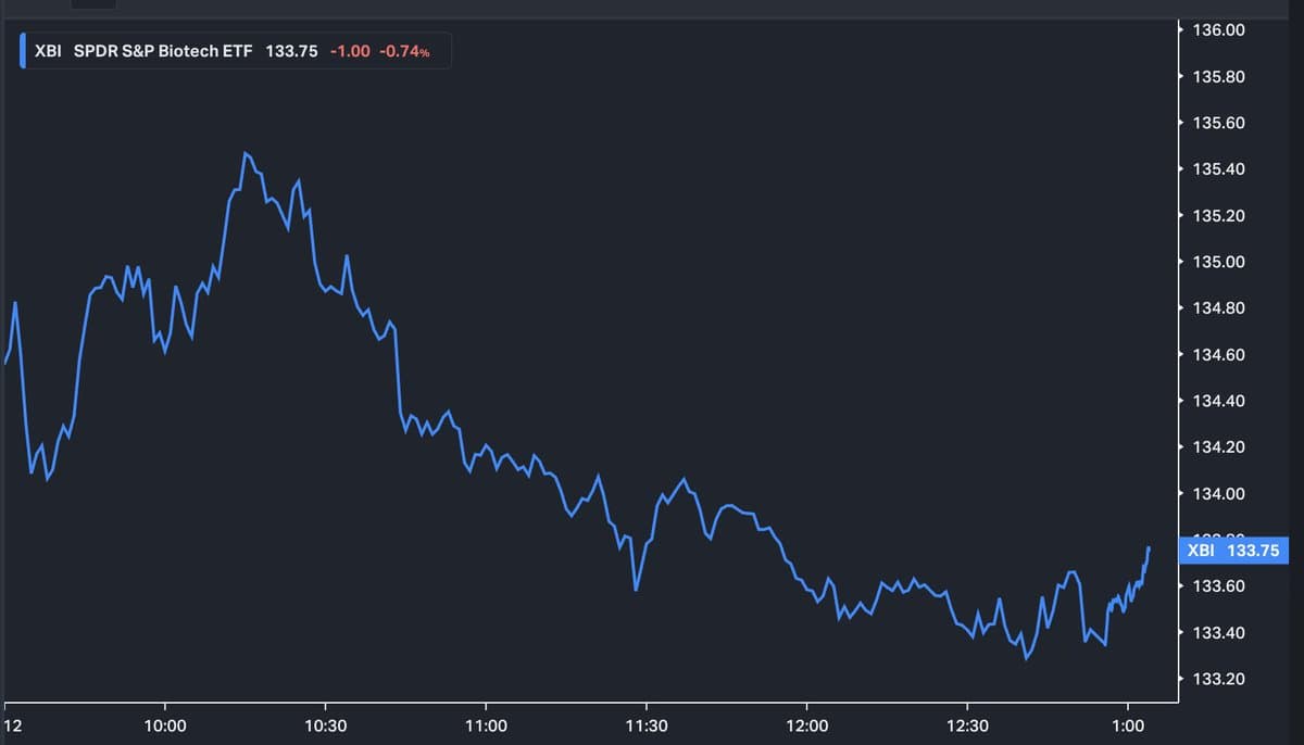 XBI Sees Modest Boost After Anticlimactic FDA Decision