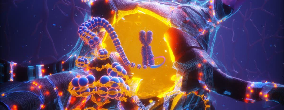 APOE2 Variant Boosts Neuronal DNA Repair, Slows Aging