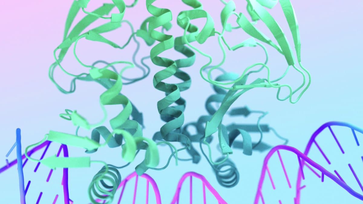 AlphaFold 3 Maps Structures and Interactions of All Biomolecules