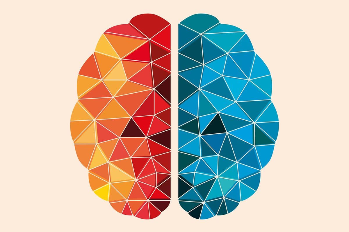 Younger Brain Age Linked to Longer Lifespan, Fewer Diseases