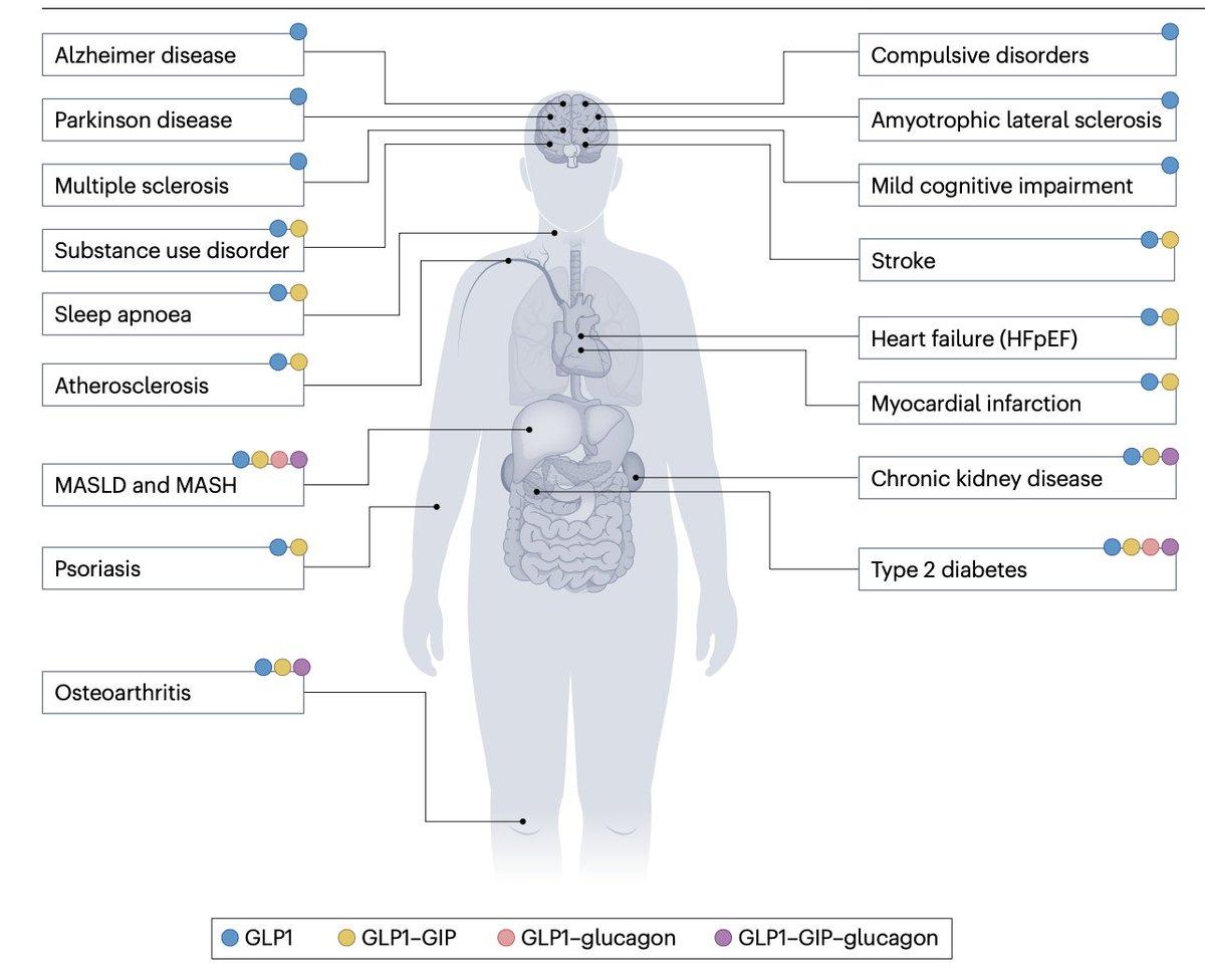 GLP‑1/GIP/Glucagon Drugs Target New