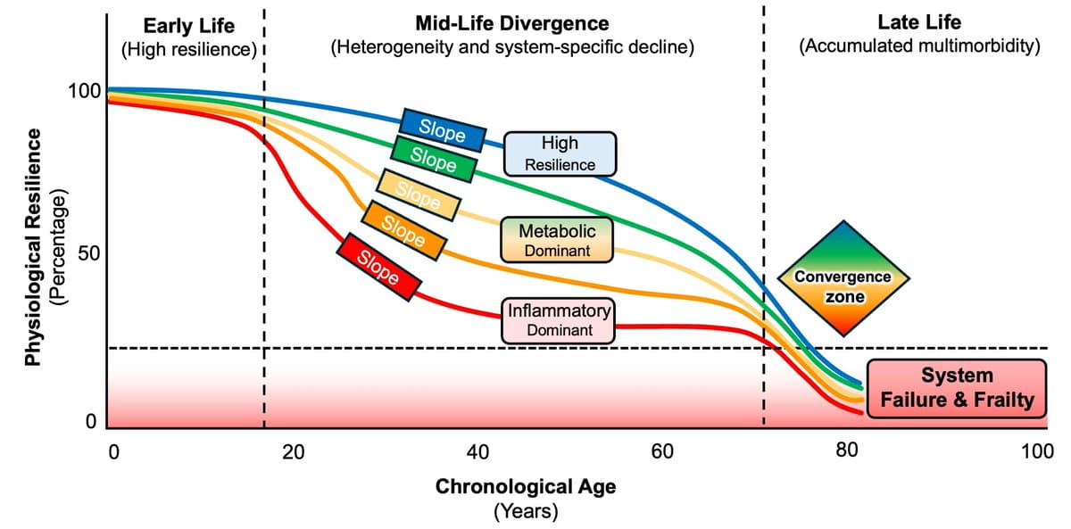Treat Aging Heterogeneity as Signal for Precision Geromedicine
