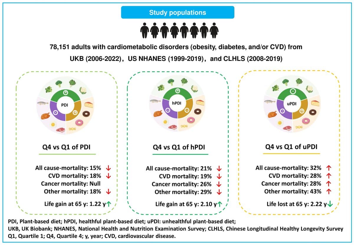 Plant‑based Diets Extend Life for Cardiometabolic Patients Worldwide
