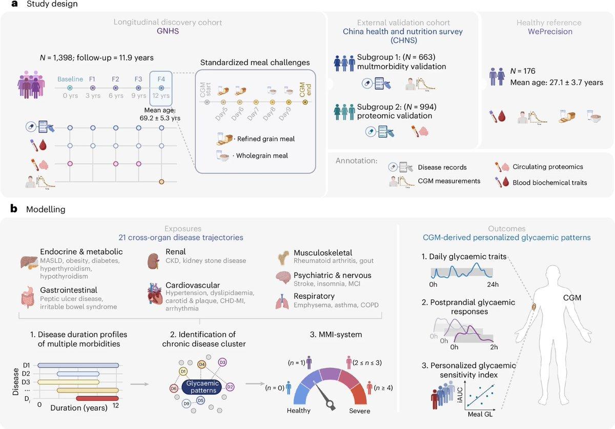 Long‑term Multimorbidity Profiles Boost Precise Glycemic Care