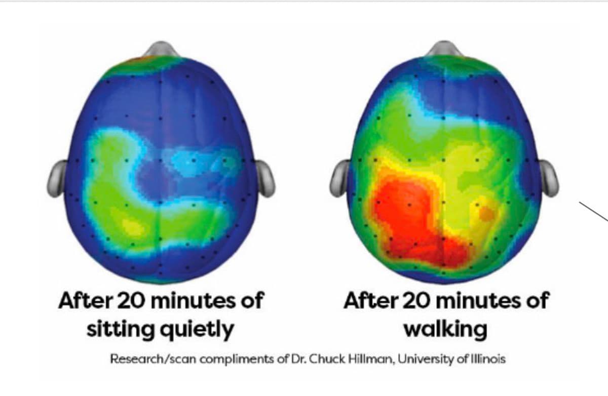 Walking Boosts Mitochondrial Health, Eases Depression