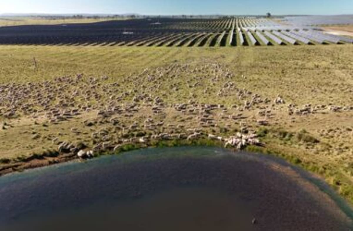 Big Battery Reduces Curtailment, Cuts Solar Farm Prices