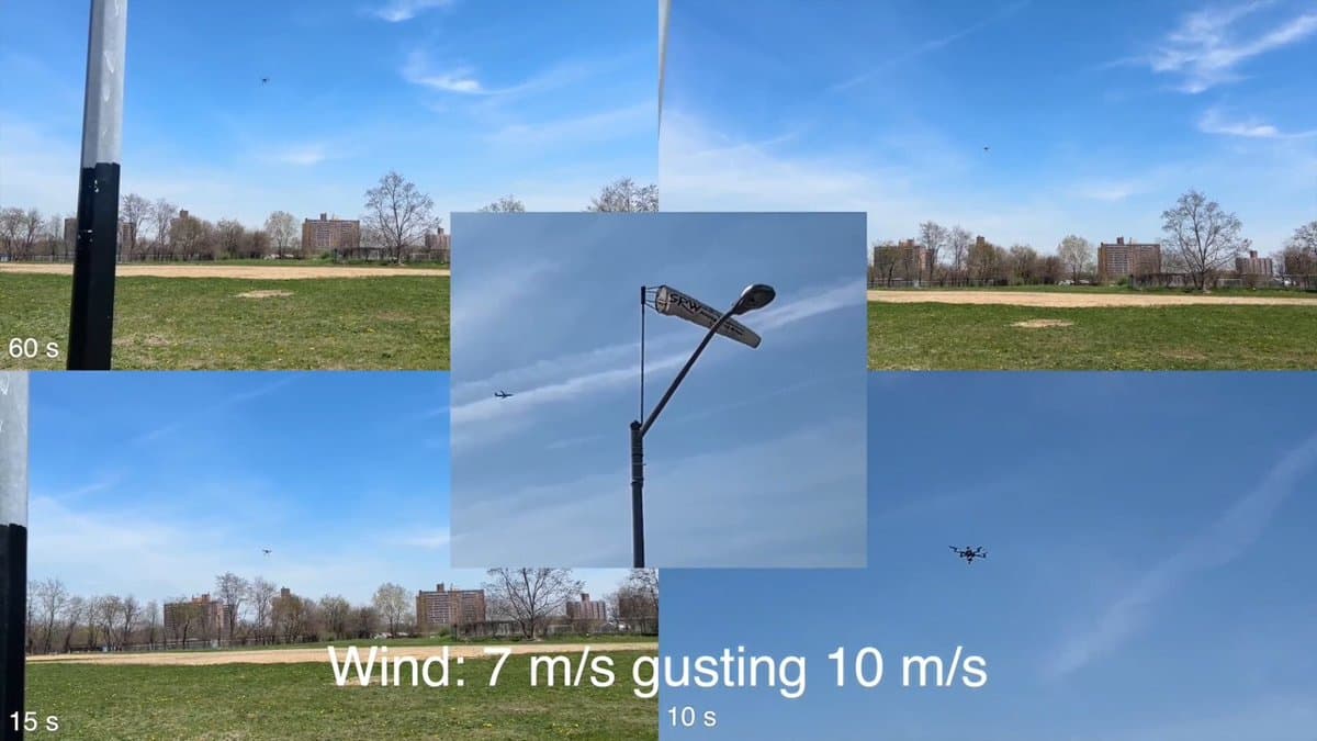 Lightweight Open-Source Policy Stabilizes Unfamiliar Quadrotors in Wind