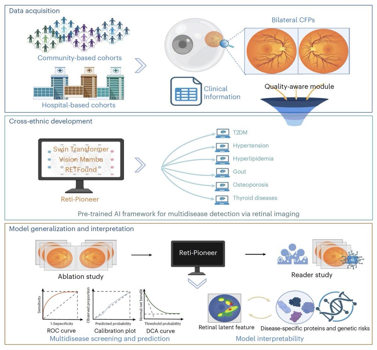 AI Retinal Scans Enable Rapid Multi-Disease Screening in Clinics