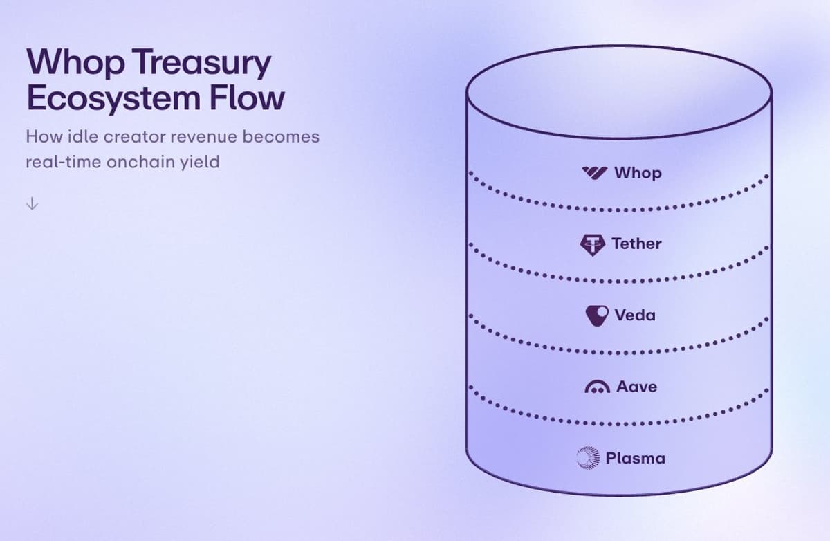 Fintechs Unlock Earnings on Idle Balances via DeFi Earn
