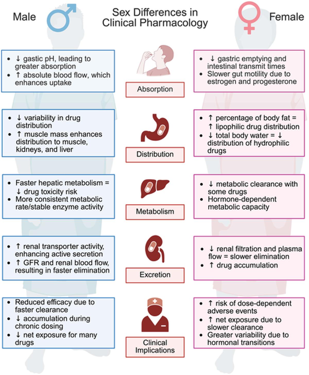 Sex and Age Shape Immune Response, Undermining Uniform Treatments