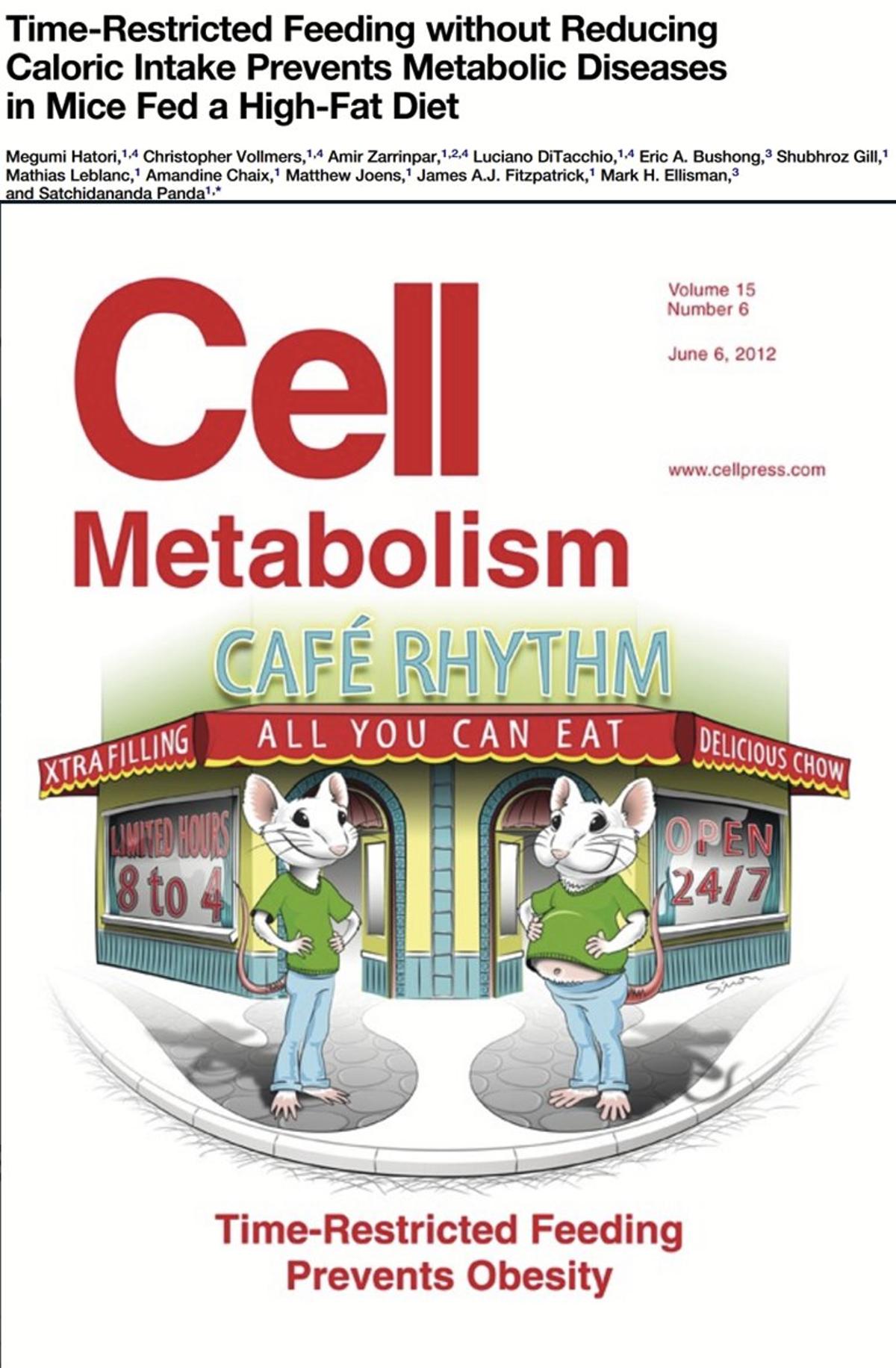 Time‑Restricted Eating Boosts Health, Sparks Intermittent Fasting Era