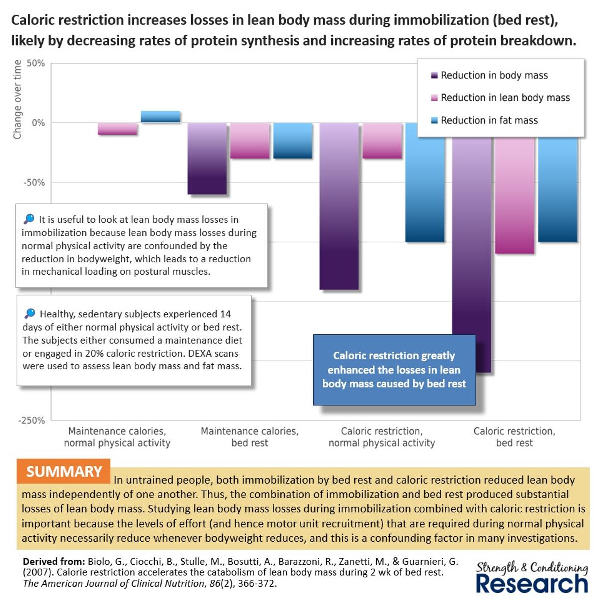 Immobilization Studies Isolate Calorie Restriction’s Impact on Muscle