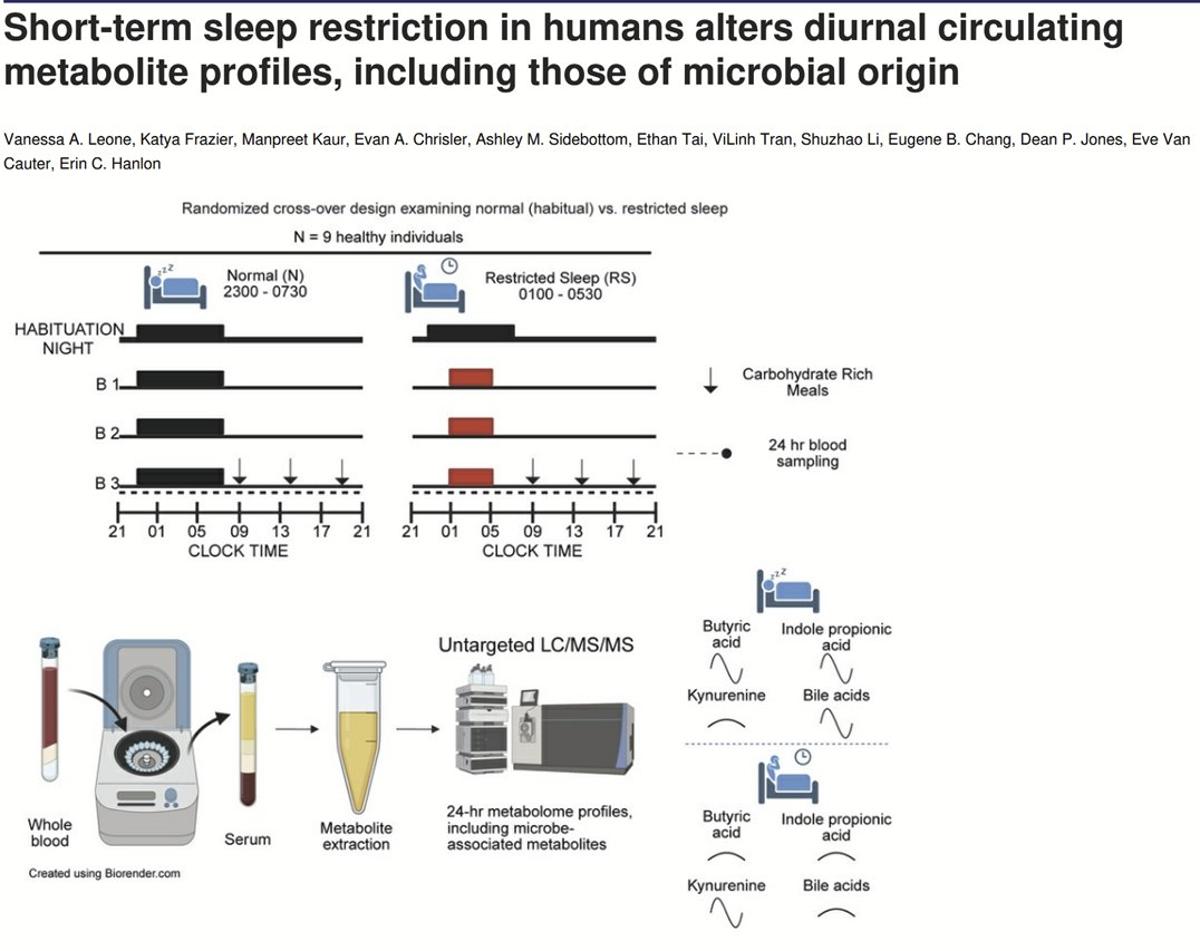 Sleep Deprivation Disrupt