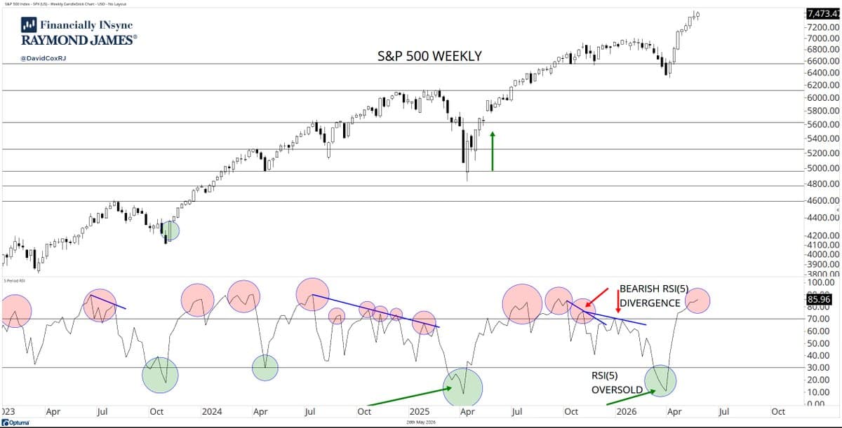 Mid‑2025 Bearish Divergences Shift to Early‑2026 Sell‑off