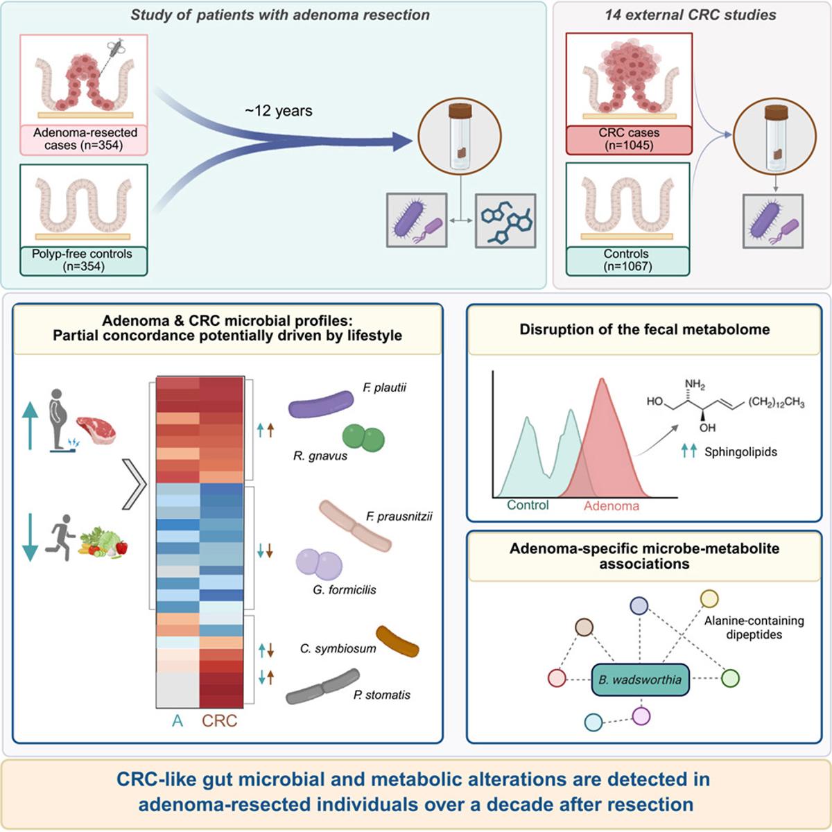 Gut Microbiome Remains Altered Years After Polyp Removal